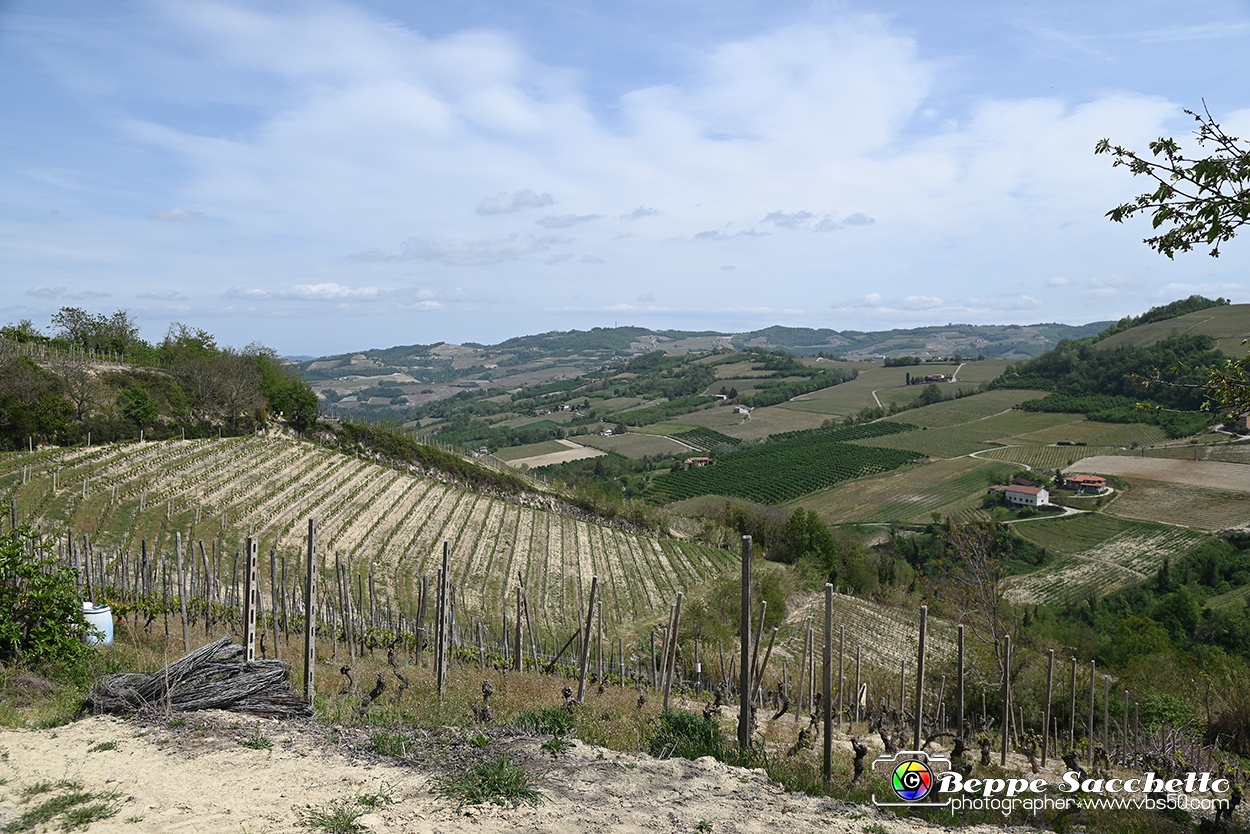 VBS_3102 - Mango (Cuneo) - Gnomovia.jpg
